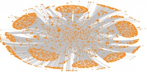 amplification social capital building networks