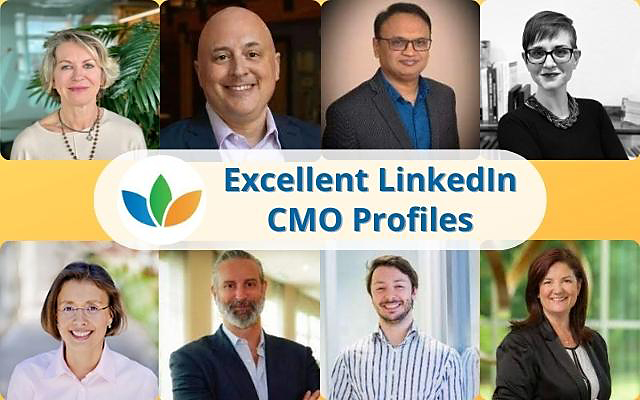 Excellent LinkedIn Profiles for CMOs & VPs of Marketing