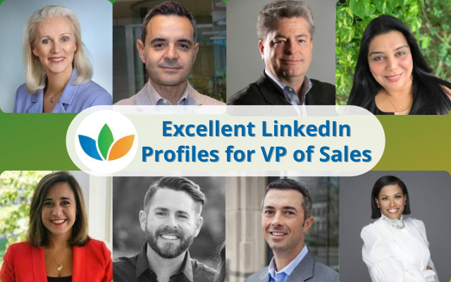 Excellent LinkedIn Profiles for VPs of Sales & Chief Revenue Officers