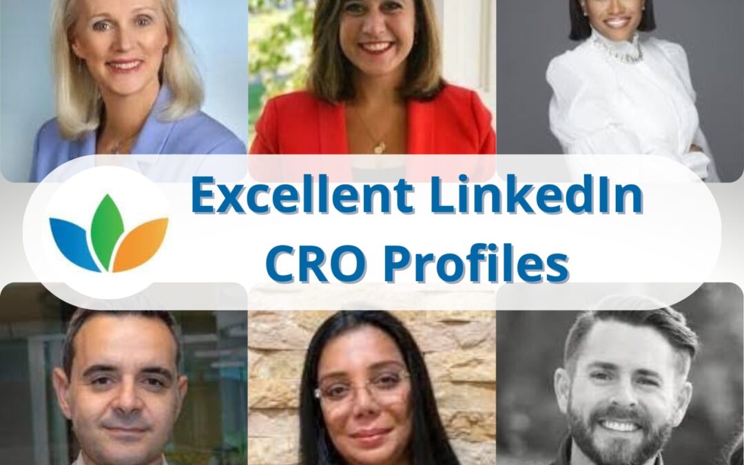 Excellent LinkedIn CRO Profiles 2022