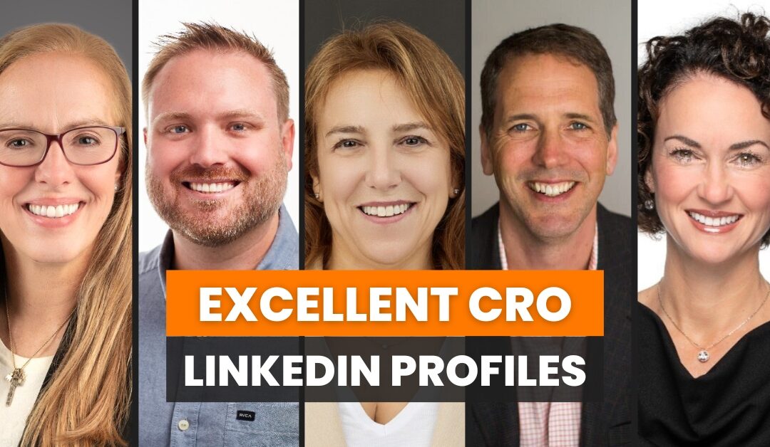 Excellent LinkedIn Profiles for VPs of Sales & Chief Revenue Officers