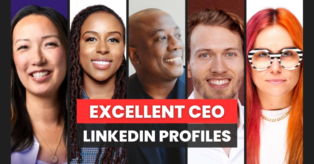 excellent CEOs on linkedin 2024