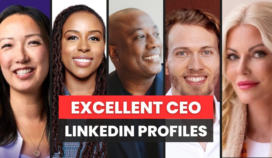 Excellent LinkedIn CEO Profiles