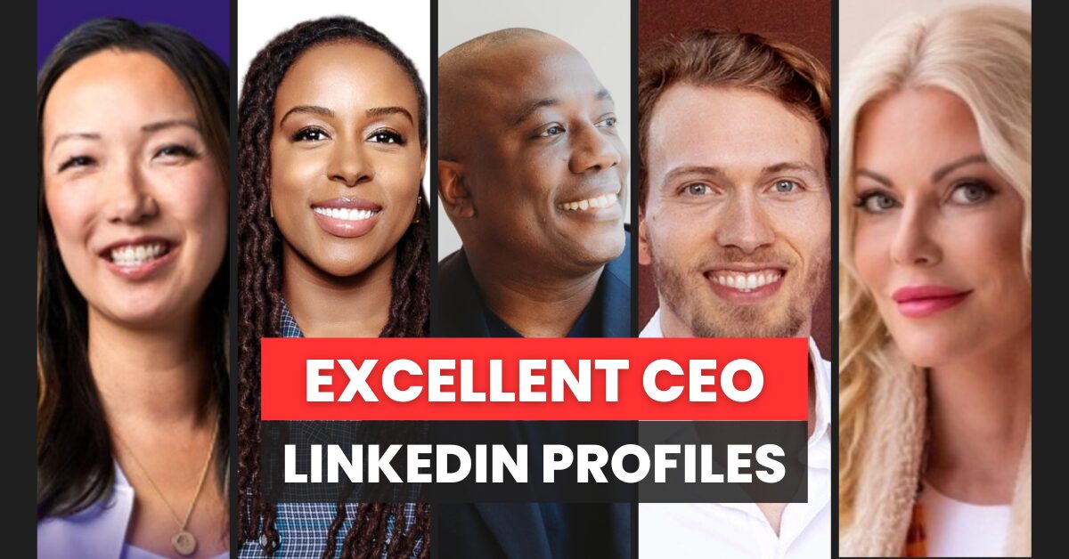 excellent CEOs on linkedin 2024