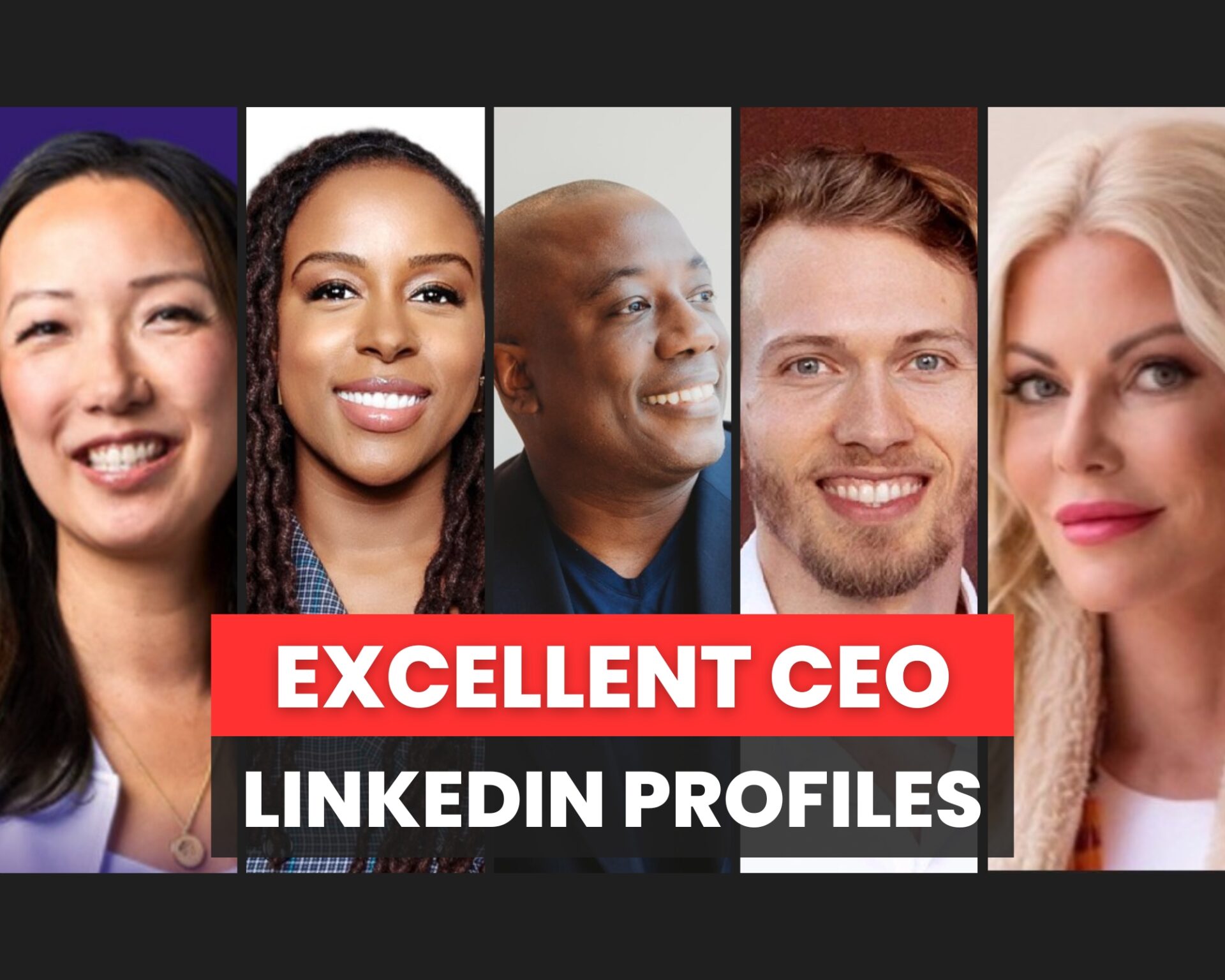 2023 Excellent CEOs excellent CEOs on linkedin 2024