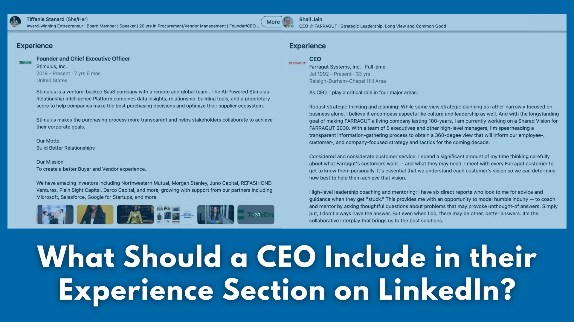 ceo experience sections on linkedin