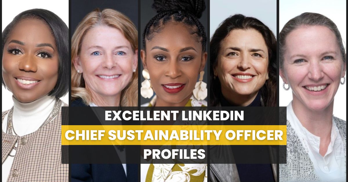 Excellent LinkedIn Chief Sustainability Officer Profiles - ProResource