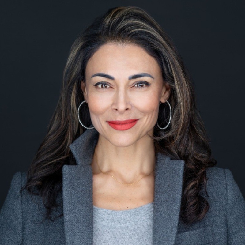 Sol Rashidi Sol Rashidi, chief ai officer at Deloitte